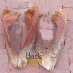 bark2